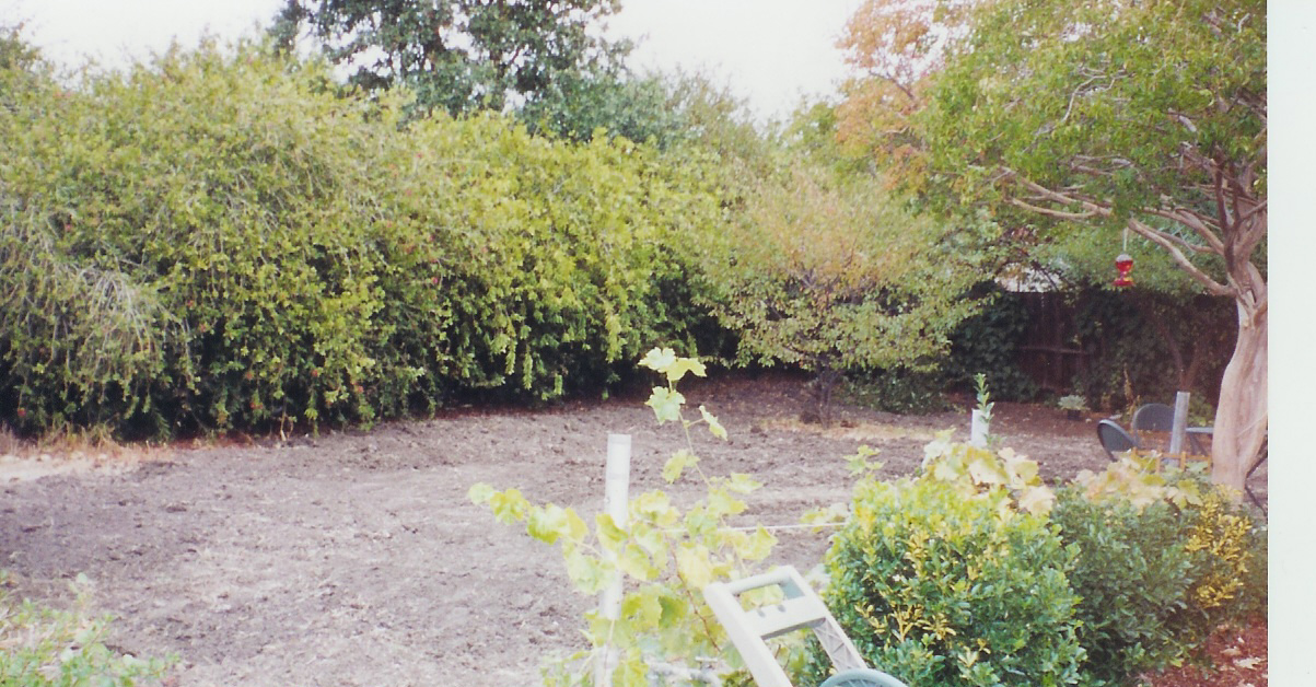  cottage terracing