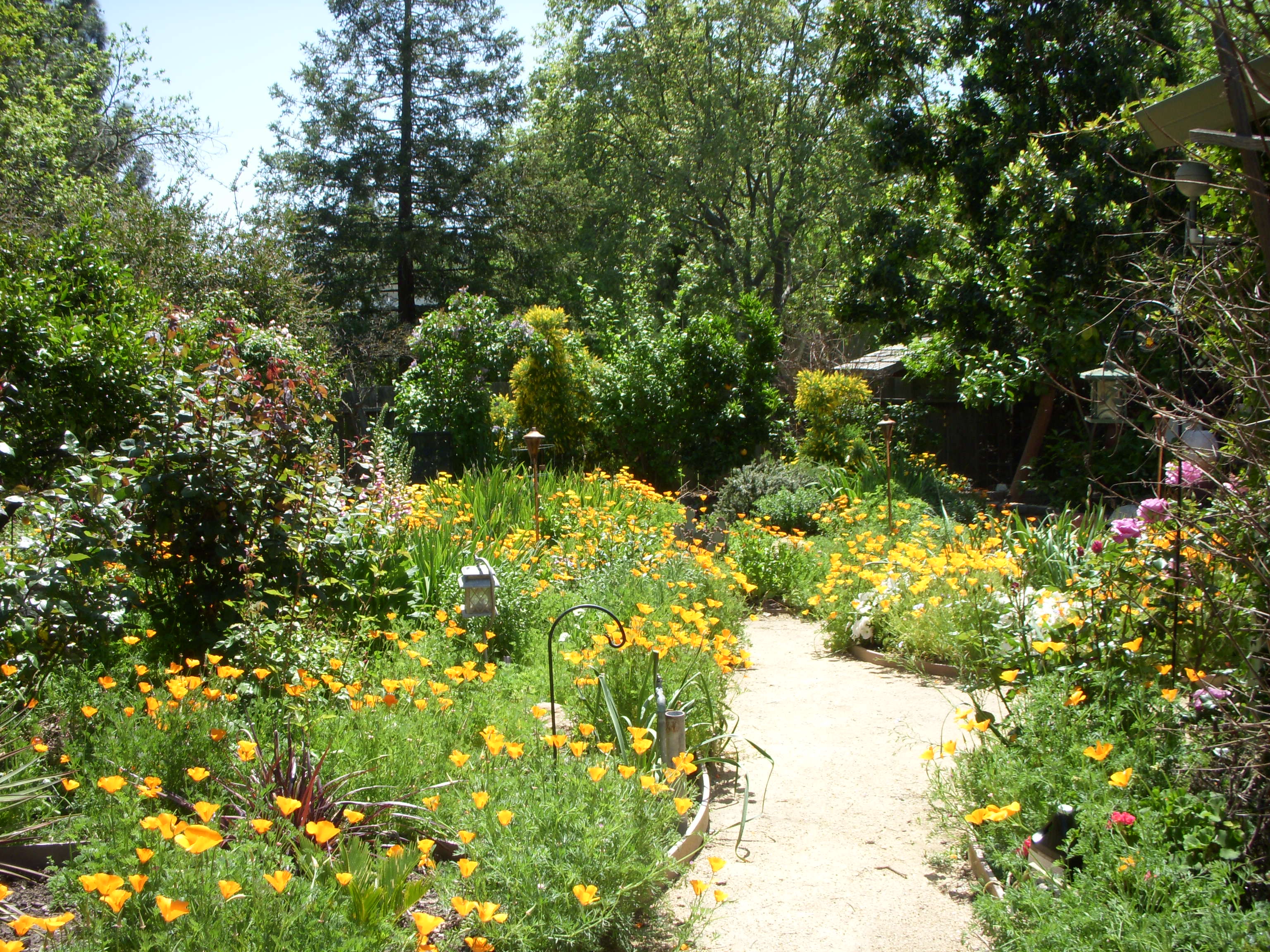  Springtime seasonal beds